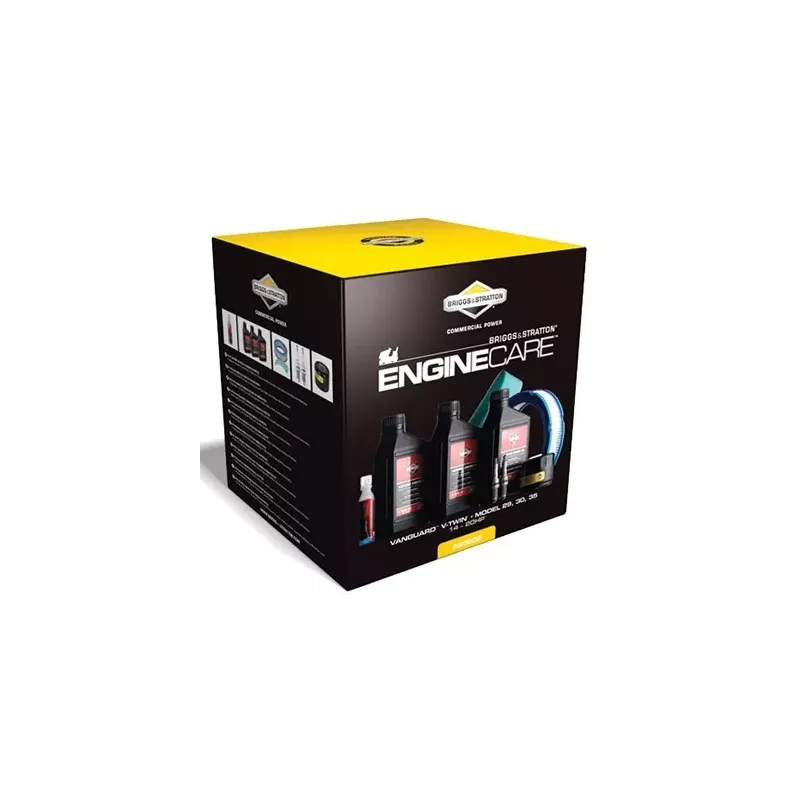 KIT MAINTEN VANGAURD V-TWIN MODEL 29,30,35 SX9015TE EX 998102-992209