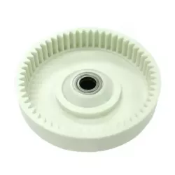 PIGNON EX 538241038