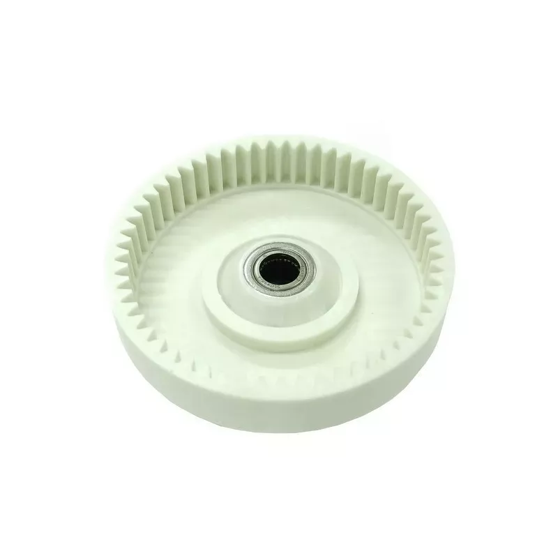 PIGNON EX 538241038