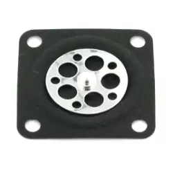 MEMBRANE TG18/TF22 D