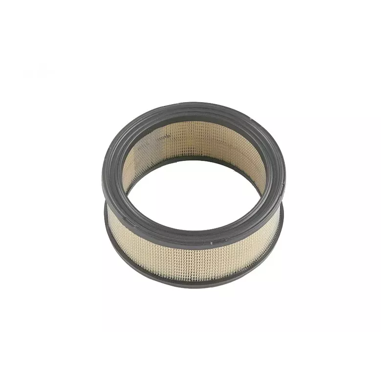  FILTRE AIR  ****   2408303-S
