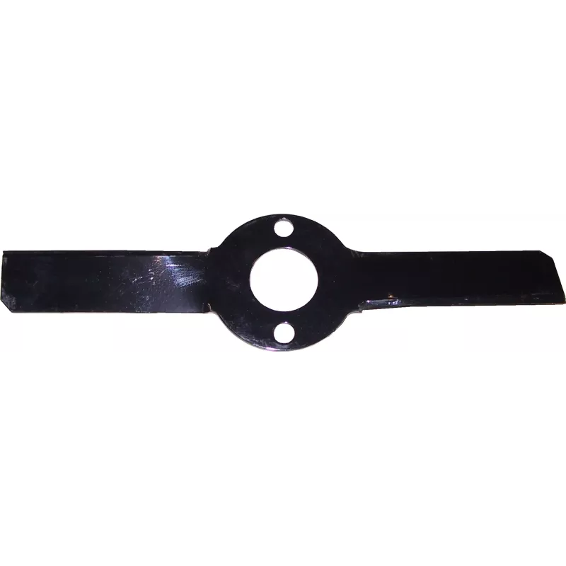 LAME TROU Central 38mm LONG 317mm FDS 29/07/20 CDC 30/11/2021  