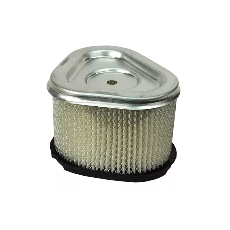 FILTRE POUR KOHLER CV12 