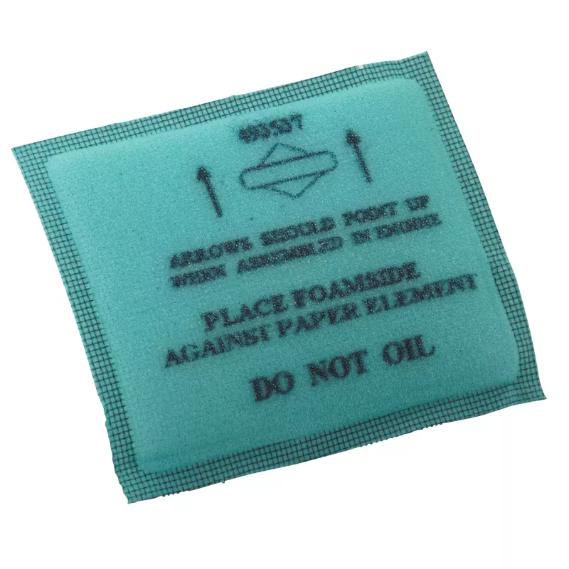 FILTRE AIR*B*  EX 493537