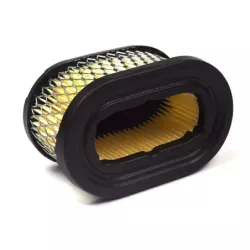 FILTRE AIR  EX 497725-494586