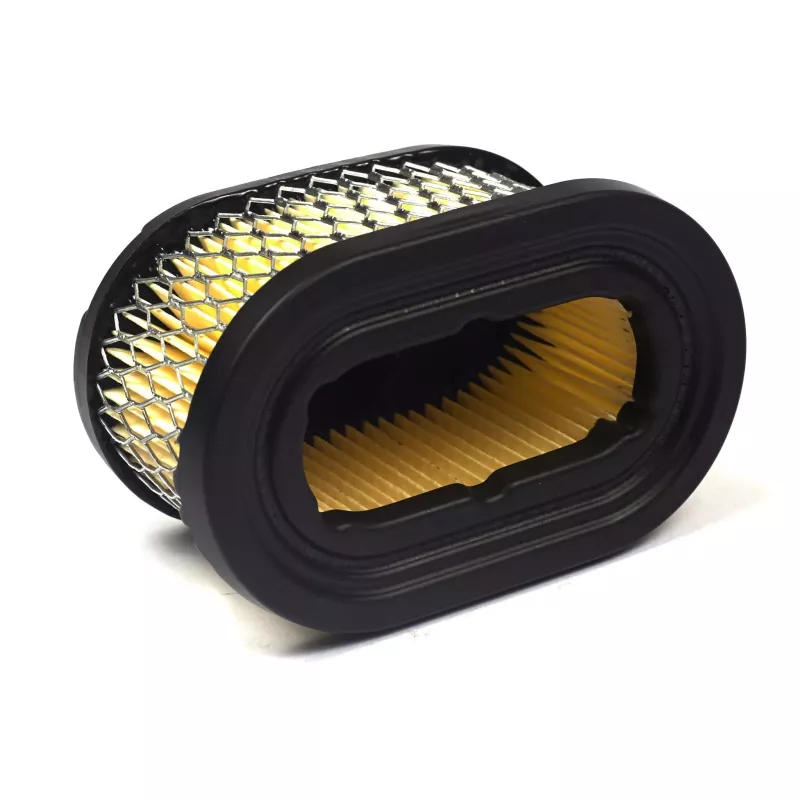 FILTRE AIR  EX 497725-494586