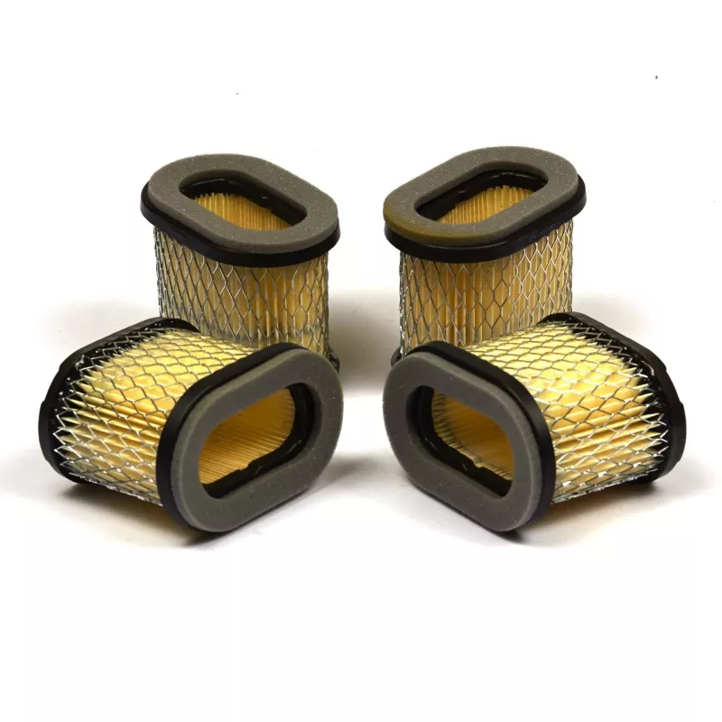 4 FILTRES AIR  697029