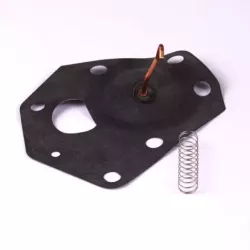 MEMBRANE CARBU. EX 496418 