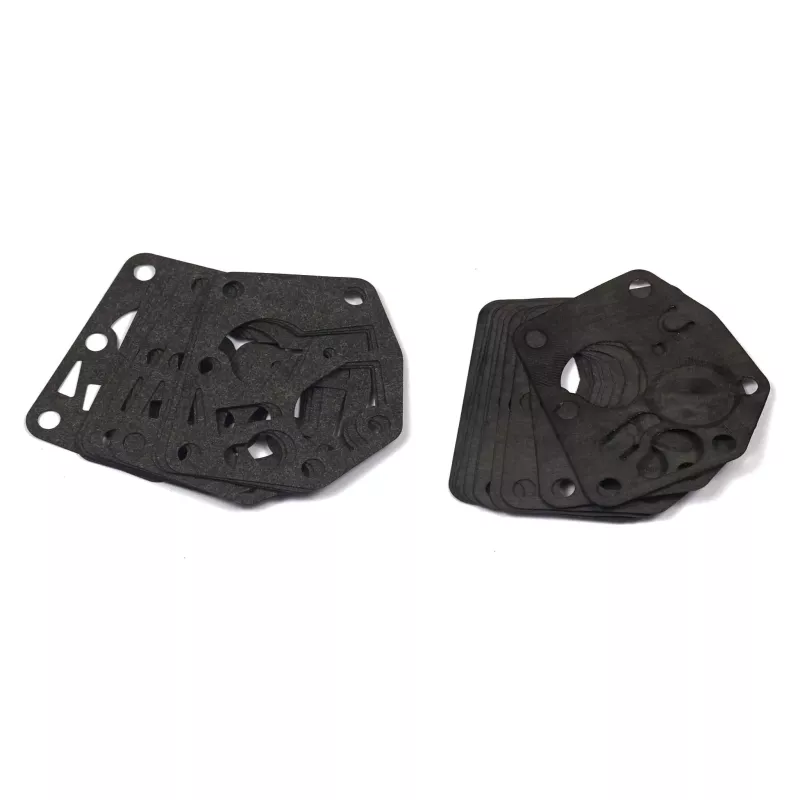 MEMBRANE PAR 10 (795083)