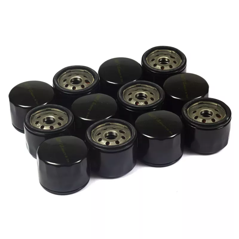 12 FILTRES HUILE 842921 B