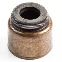 JT QUEUE SOUP. EX 272610-499236-691316