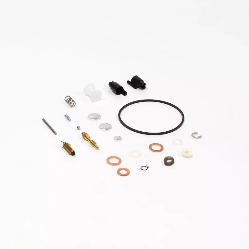 KIT REFECT. CARBU. EX 842891/808807-808324