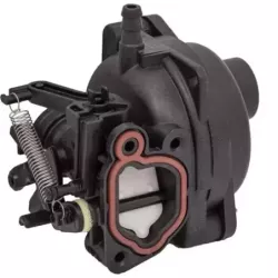 CARBURATEUR  EX 595489 593297