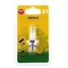 BOUGIE 01 BLISTER NGK BMR6A