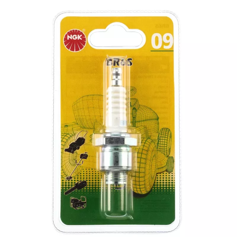 BOUGIE 09 BLISTER NGK BR6S