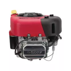 BS OHV 12.5 HP 25.4X80 EX 21R8070011 2199073026