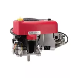 BS OHV 15.5HP EX 31R5070011