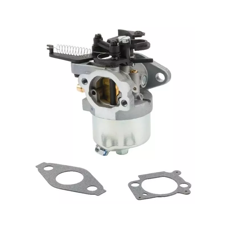 CARBURATEUR EX 595509  591852 793493 H