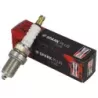 BOUGIE CHAMPION RC12YC EX 491055E  ( PAR X10 )