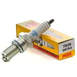 BOUGIE NGK DR7EA