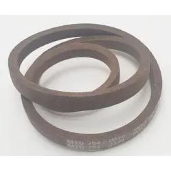 COURROIE MOTEUR/VARIATEUR     