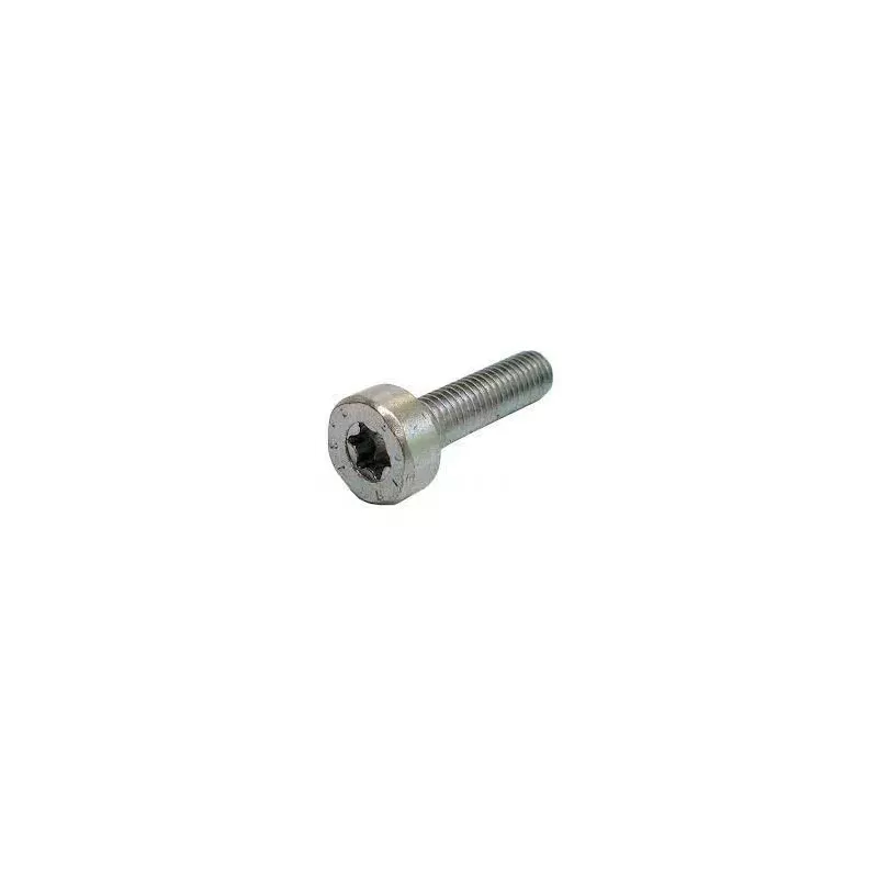 VIS CYLINDR.  IS M5 X 20 d14