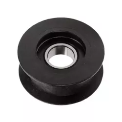 POULIE EX 25601570/0