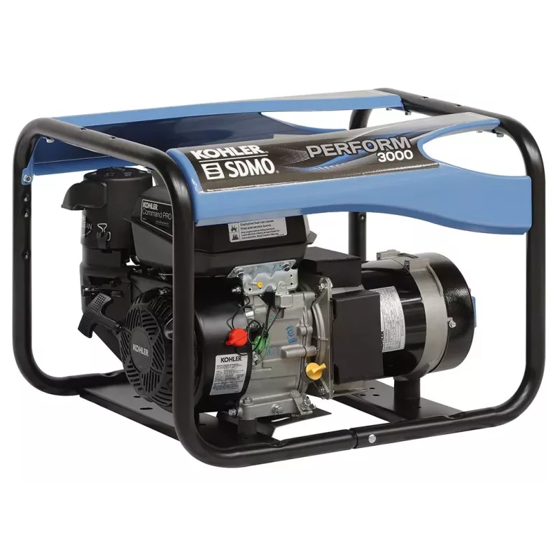 GROUPE SDMO PERFORM ESS CH270