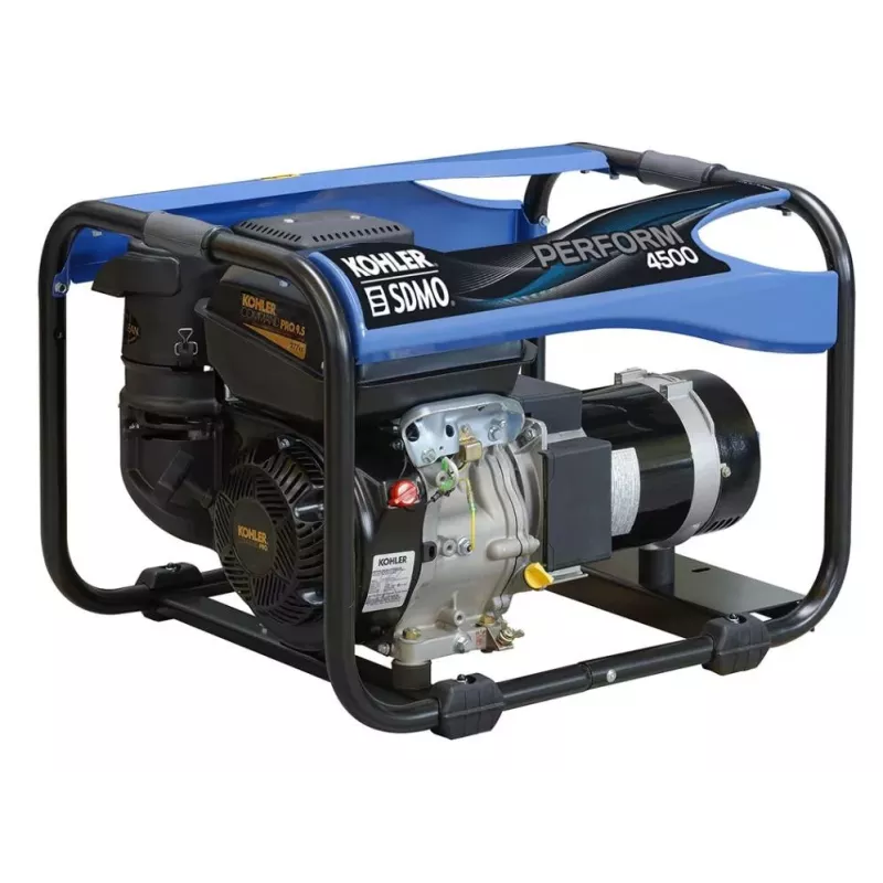 GROUPE SDMO PERFORM ESS CH395