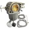CARBURATEUR EX 595216